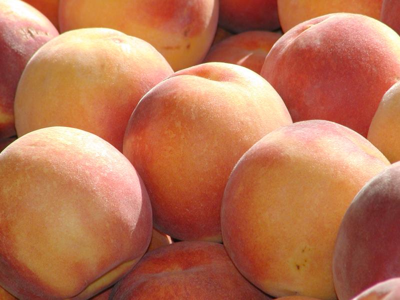 Al Tawareg Juicy Peach Hookah Tobacco