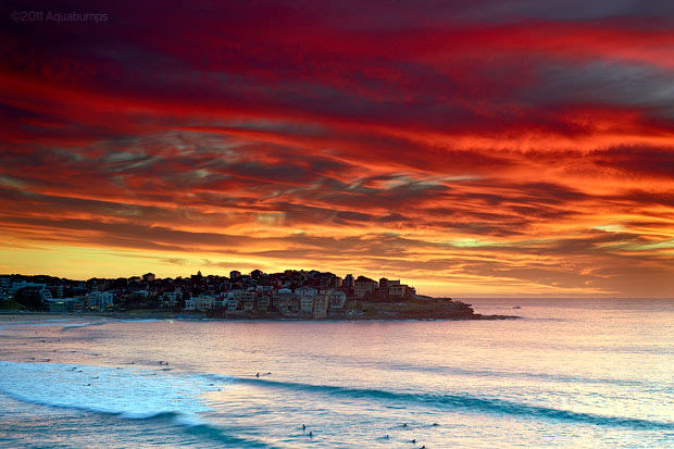 bondi beach at sunset