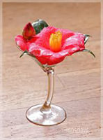 Fantasia Cactus Breeze