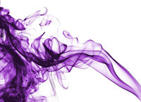 Fantasia Purple Haze