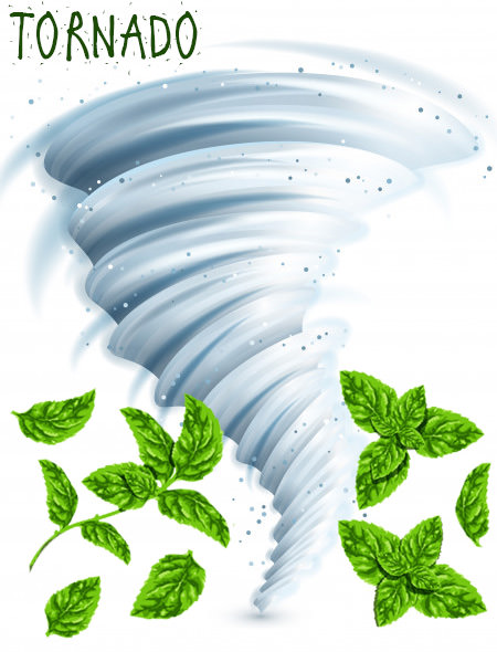 Al Waha Tornado