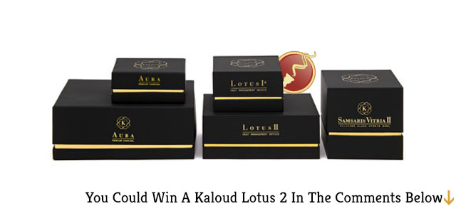Introducing The Kaloud Lotus 2