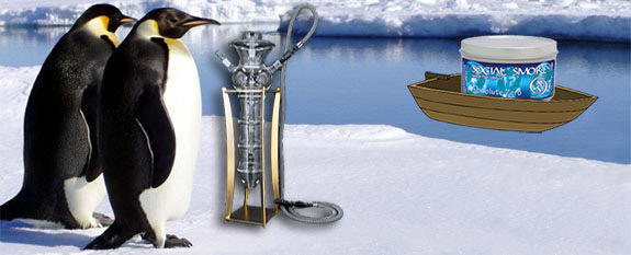 hookah smoking penguins