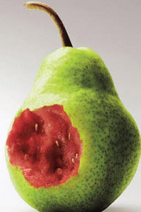 tangiers pear watermelon
